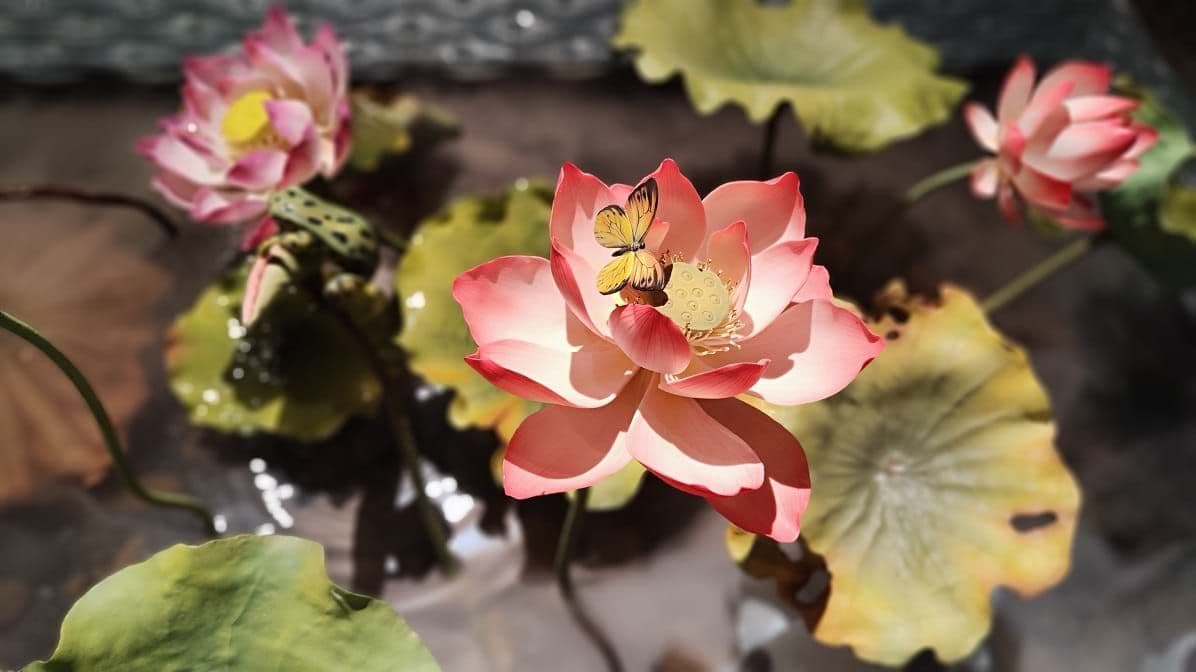 BẢO TÀNG GỐM SỨ VỚI NHỮNG HIỆN VẬT ĐẶC BIỆT